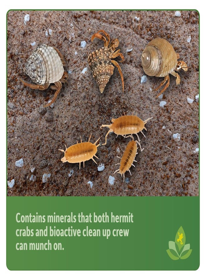 Josh's Frogs Hermit Crab BioBedding Bioactive Substrate (4 Quart (Sand Included)) - Image 5